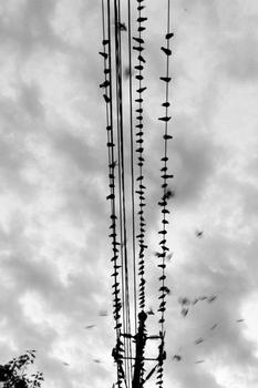 ���ڵ����˿˴�ʦ����Ƶ���˴�ǰУ��Ů��������Ǩ ��������Ժ��(ͼ)...